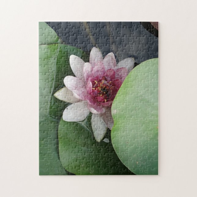 Puzzle Open Lotus Flower Photo (Vertical)