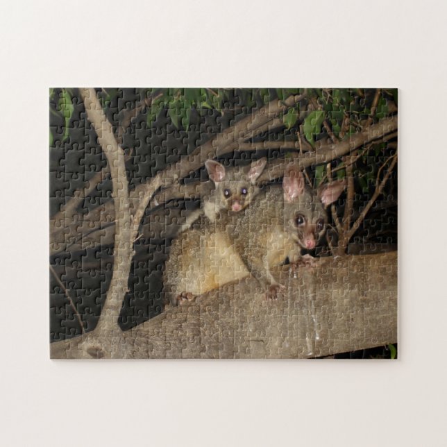 Puzzle Opossums de Brushtail (Horizontal)