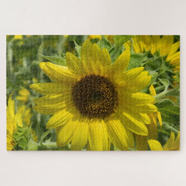 Puzzle Or de tournesol (Horizontal)