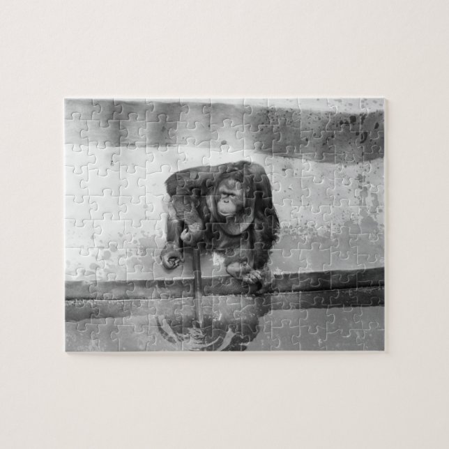 Puzzle Orang-outan (Horizontal)
