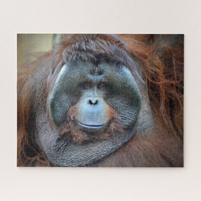Puzzle Orang-outan (Horizontal)