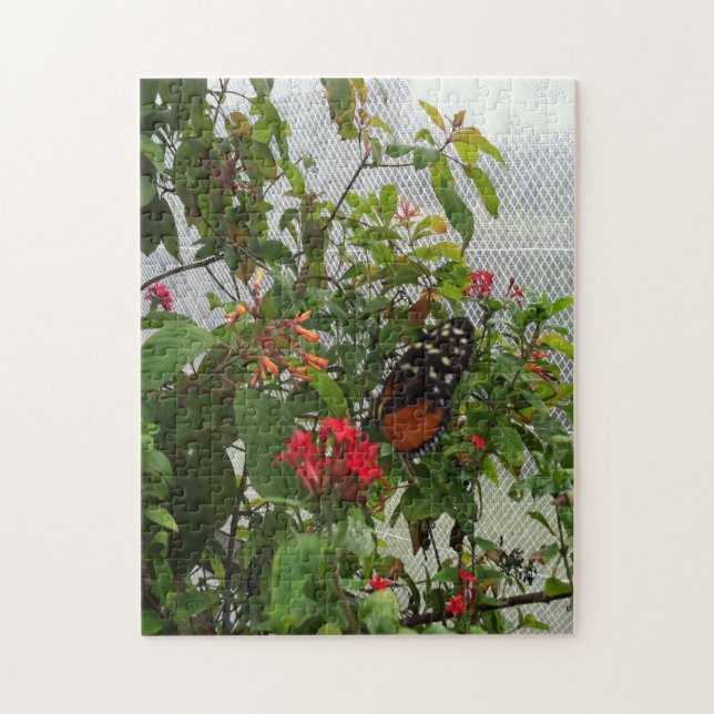 PUZZLE ORANGE BUTTERFLY (Vertical)
