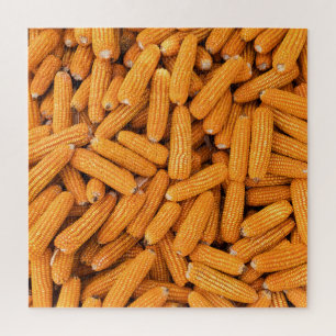 Puzzle Orange Corn Cob : Harvest Agriculture Arrière - pl