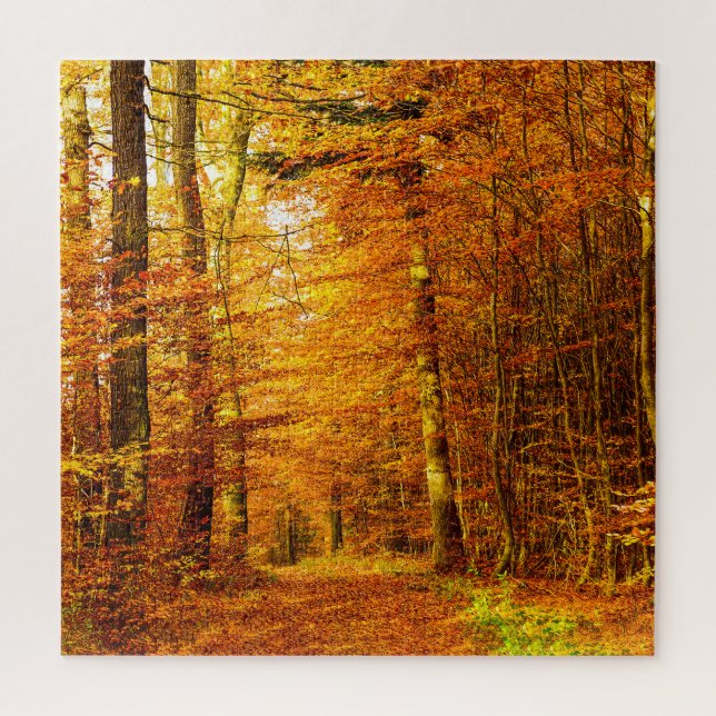 Puzzle Orange d'automne : Vue du chemin forestier. (Vertical)
