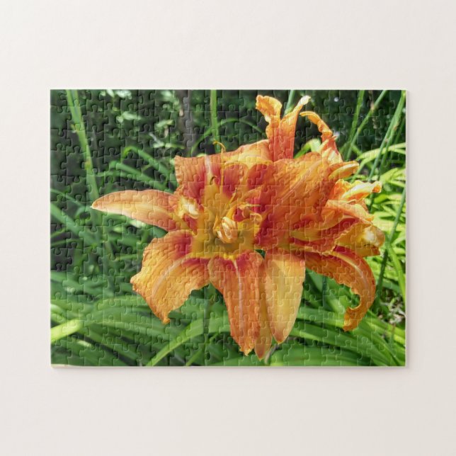 Puzzle Orange Daylily Flowers Horizontal (Horizontal)