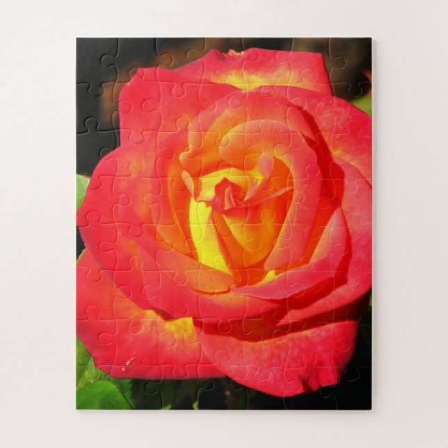 Puzzle Orange et rouge Rose haut de gamme (Vertical)