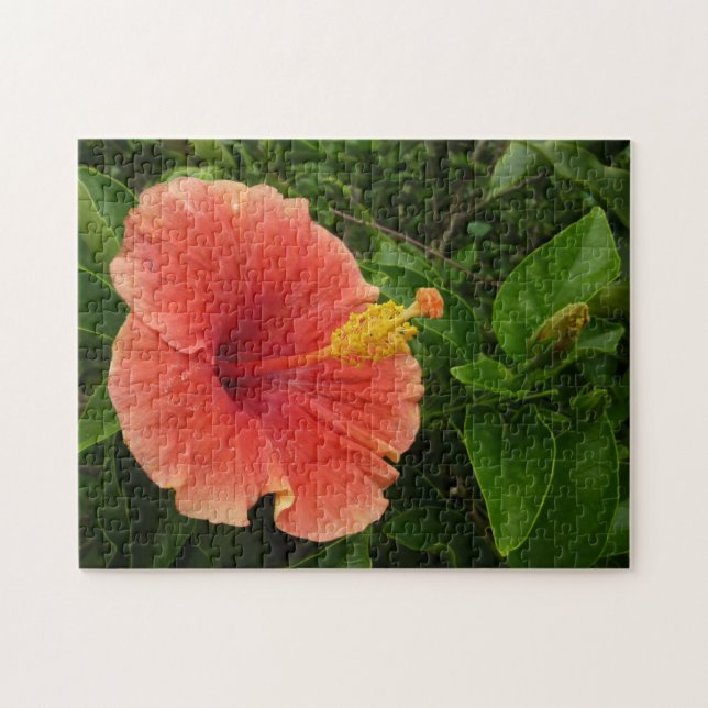 Puzzle Orange Hibiscus Fleur Tropical Floral (Horizontal)