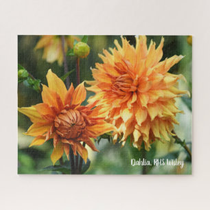 Puzzle Orange & Jaune Dahlia Fleurs de Jardin RHS Wisley