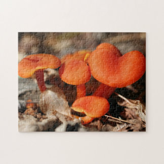 Puzzle Orange Mushroom Family Nature  