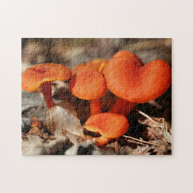 Puzzle Orange Mushroom Family Nature   (Horizontal)