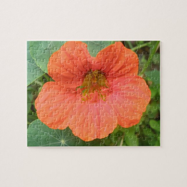 Puzzle Orange Nasturtium (Horizontal)