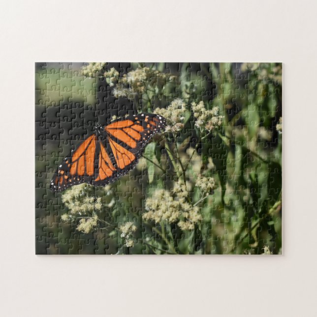Puzzle Orange Noir Monarque Papillon Nature Photographie (Horizontal)