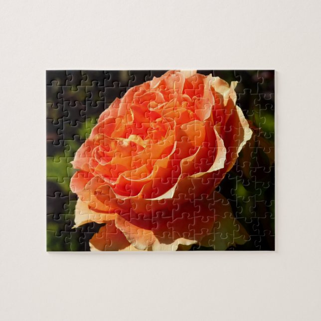 Puzzle Orange Rose II Belle florale (Horizontal)