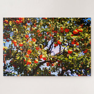Puzzle Oranger