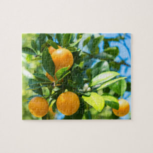 Puzzle Oranger en fruits