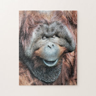 PUZZLE ORANGUTANS
