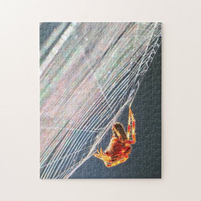Puzzle Orb Spider on Web  (Vertical)