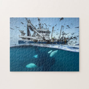 Puzzle Orca Killer Whale Commerce Bateau de pêche Océan