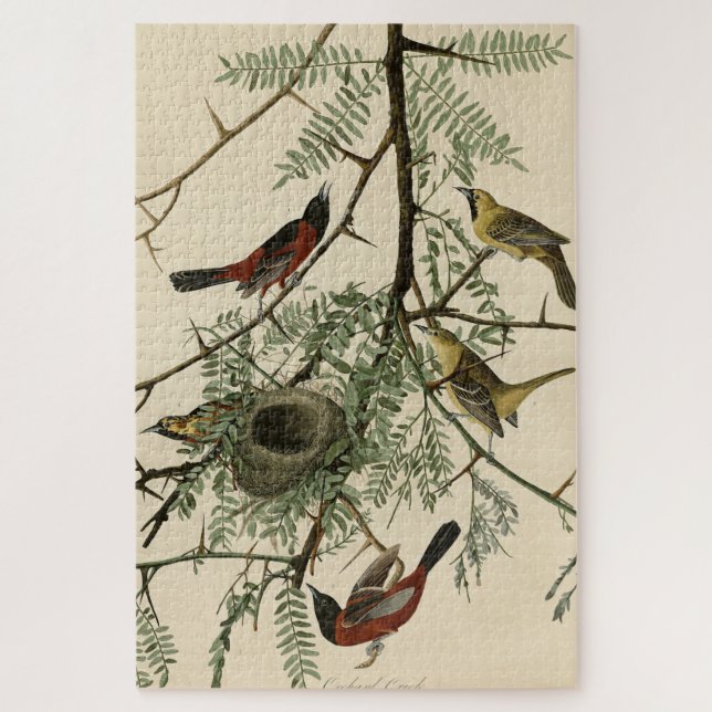 Puzzle Orchard Oriole des Oiseaux d'Amérique d'Audubon (Vertical)