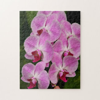 Puzzle - Orchid