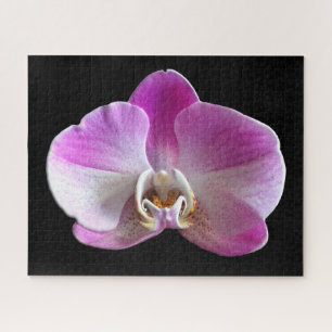 Puzzle Orchid de Purple et White