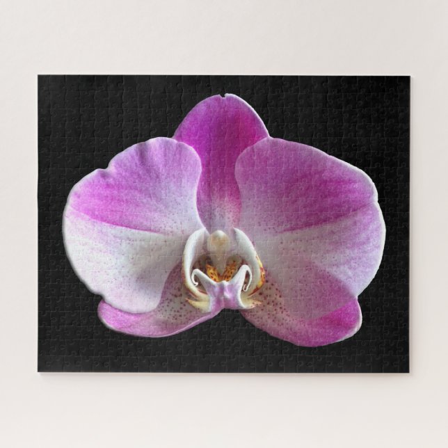 Puzzle Orchid de Purple et White (Horizontal)