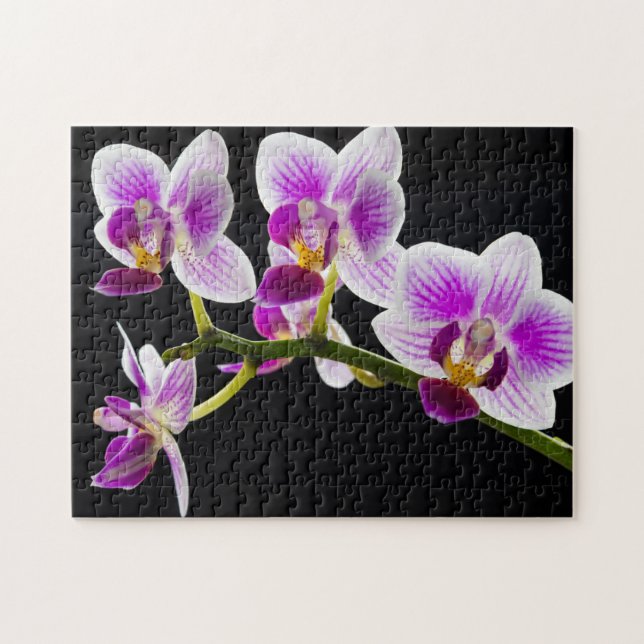 Puzzle Orchidée blanche et violette (Horizontal)