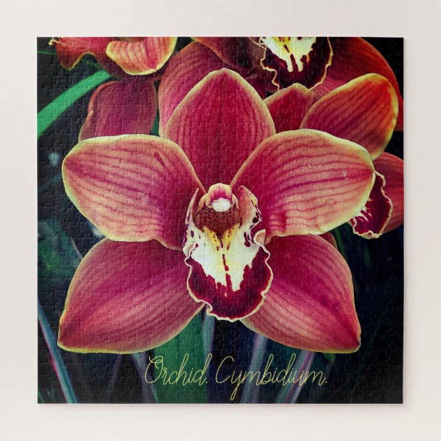 Puzzle Orchidée. Cymbidium (Vertical)