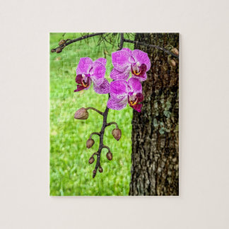 Puzzle Orchidée d'arbre en fleurs