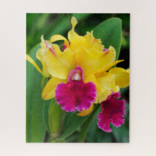 Puzzle Orchidée exotique aux couleurs jaune et rose chaud