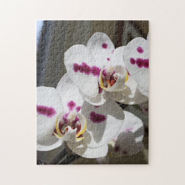 Puzzle Orchidée tachetée blanche et rose (Vertical)