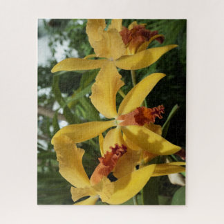 Puzzle Orchidées