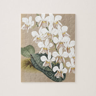 Puzzle Orchidées
