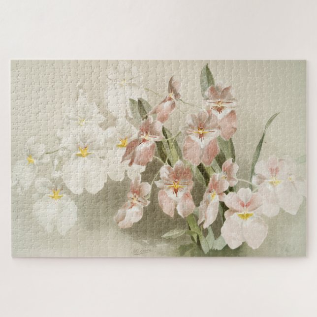 Puzzle Orchidées blanches Fleur Vintage vieille illustrat (Horizontal)