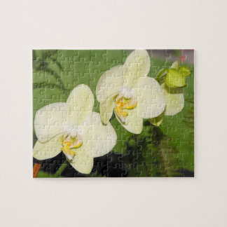 Puzzle Orchidées blanches sur un arrière - plan vert