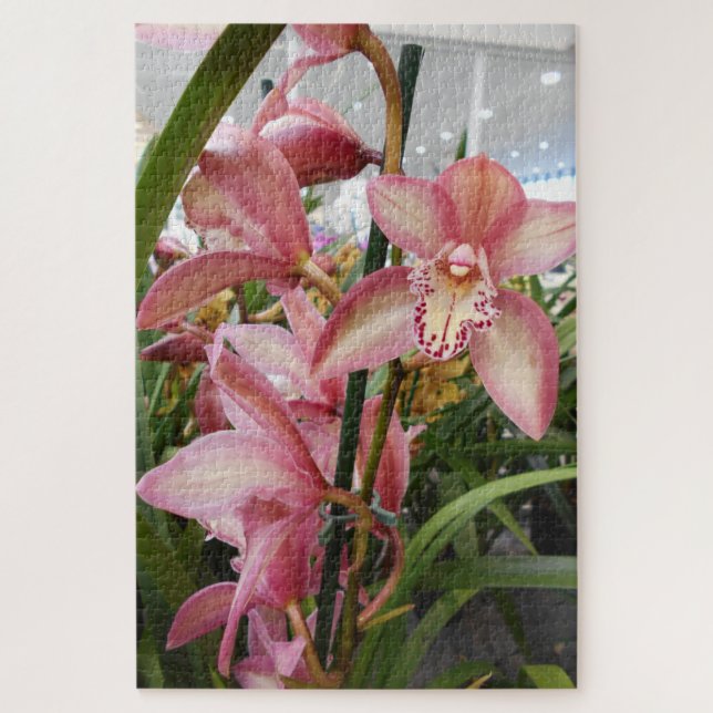 Puzzle Orchidées de cymbidium rose (Vertical)