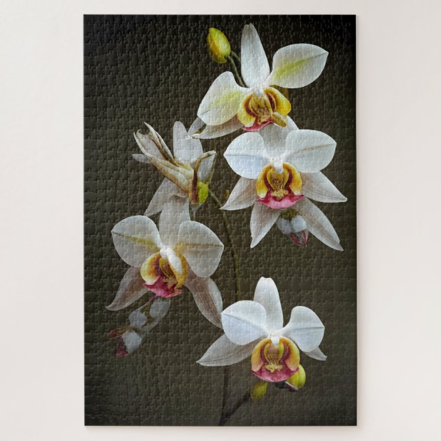 Puzzle Orchidées Dendroium (Vertical)