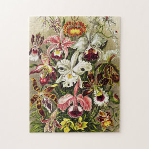 Puzzle Orchidées, Orchidée Denusblumen Ernst Haeckel