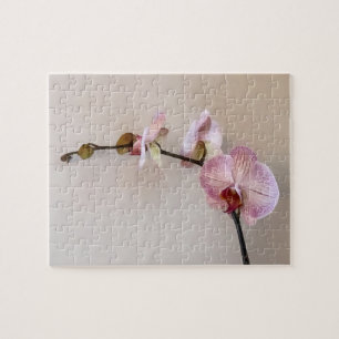 Puzzle Orchidées Phalaenopsis Rose Délicat