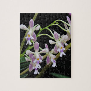 Puzzle Orchidées violettes et blanches