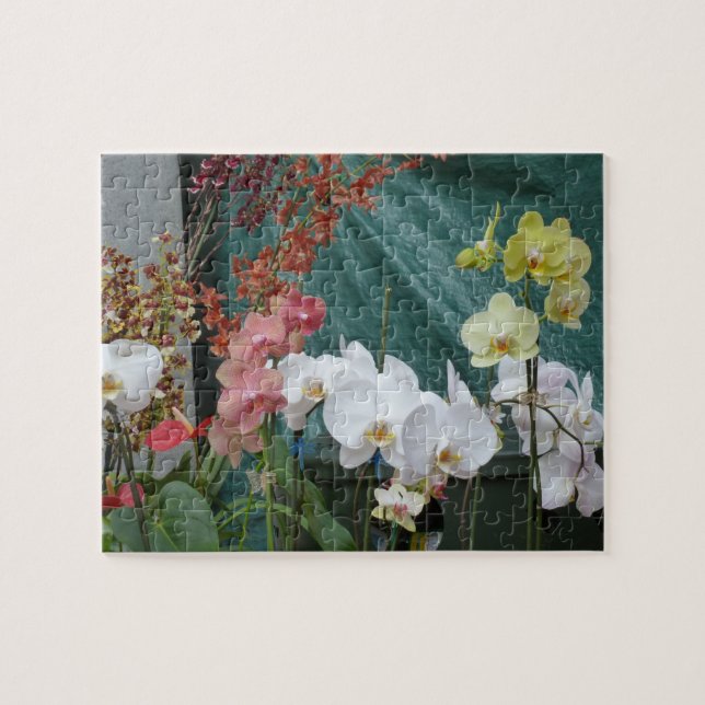 Puzzle Orchids (Horizontal)