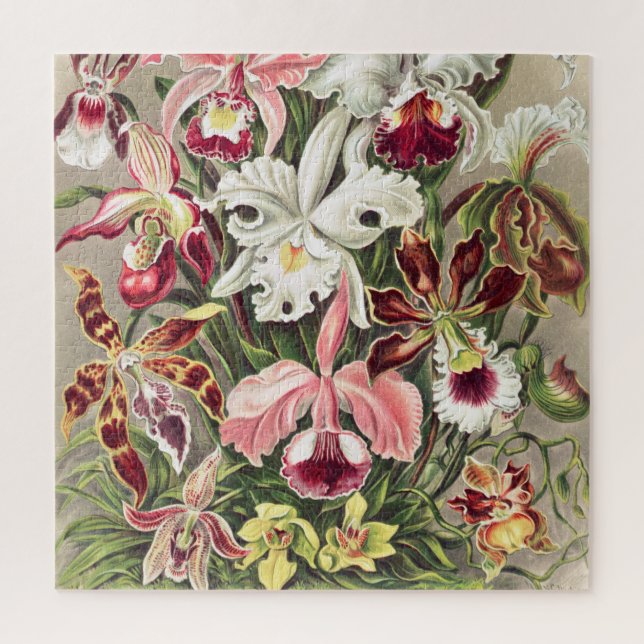 Puzzle Orchids, Orchideae Denusblumen by Ernst Haeckel (Vertical)