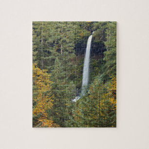 Puzzle Oregon, parc d'État de Silver Falls, North Falls