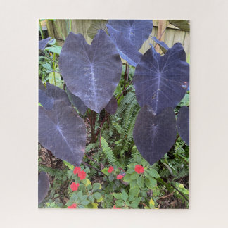 Puzzle Oreilles Eléphantes Violettes, Impatiens Rouges, F