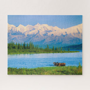 Puzzle Orignal dans le lac Wonder