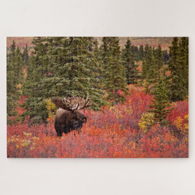 Puzzle Orignal debout dans un bouleau nain rouge (Horizontal)