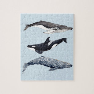 Puzzle Orque, baleine bossue et baleine gris