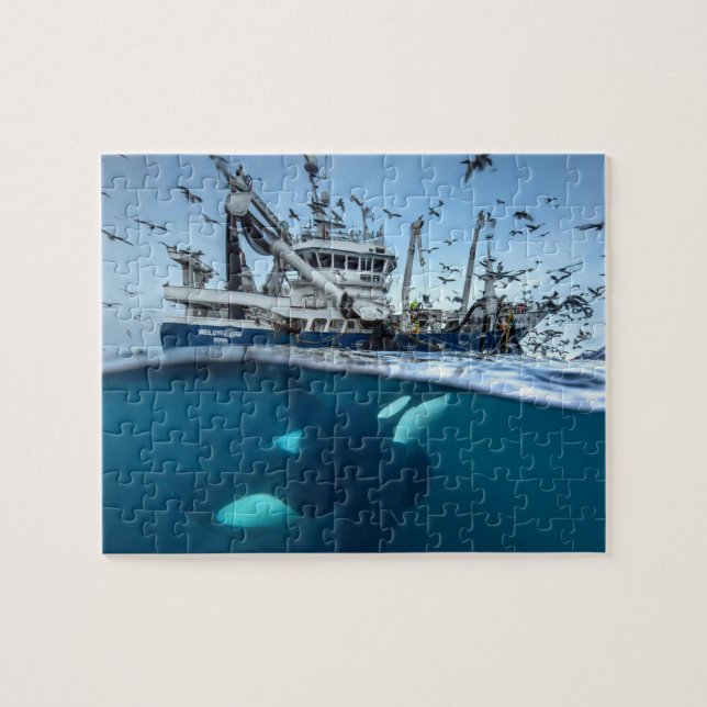 Puzzle Orque épaulard bateau de pêche commercial océan (Horizontal)
