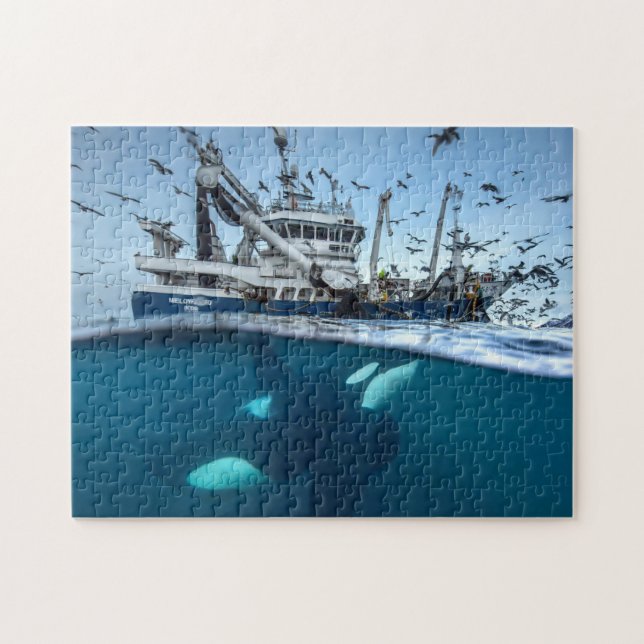 Puzzle Orque épaulard bateau de pêche commerciale océan (Horizontal)