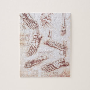 Puzzle Os de pied anatomiques humaines de Léonard de Vinc